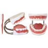 TOOTH HYGIENE SET WITH TOOTH BRUSH